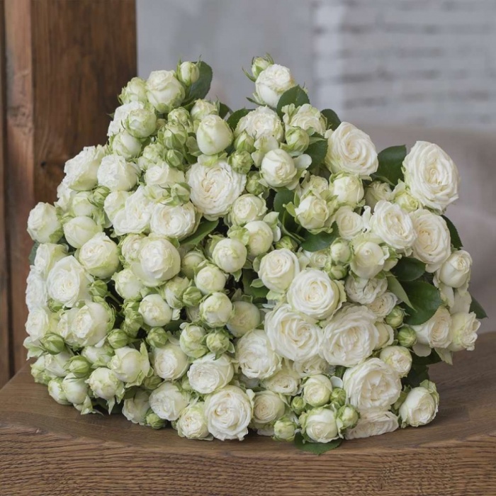 Роза мисс бомбастик фото заказ цветов через интернет доставка